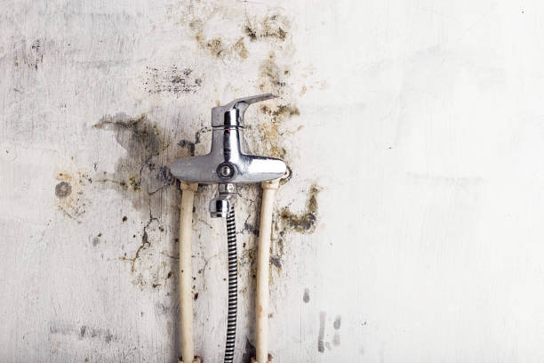 Water Damage Restoration in Etna, PA