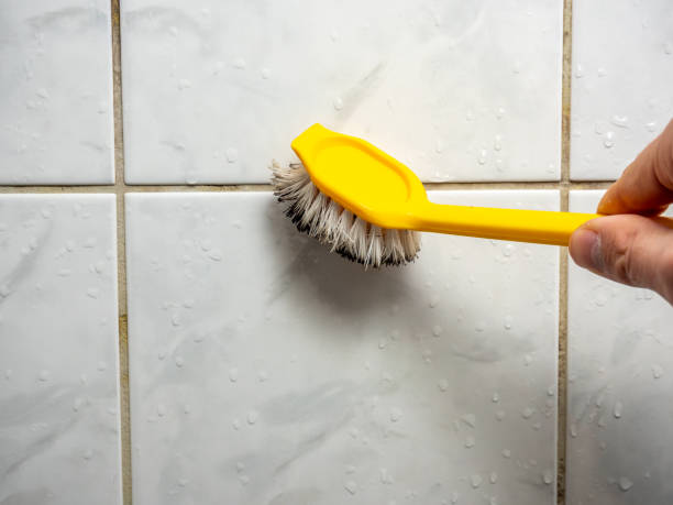 Best Fast Mold Removal  in Etna, PA