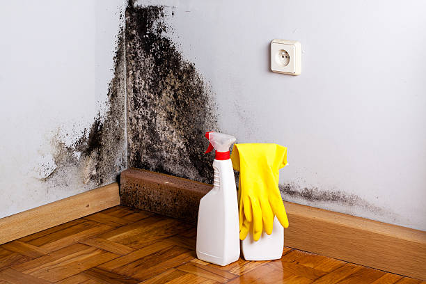 Best Crawl Space Mold Removal  in Etna, PA